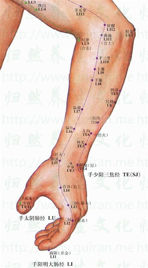 曲持穴|曲池穴位置在哪？為何會痛？緩和焦慮、緩和脾熱4大。